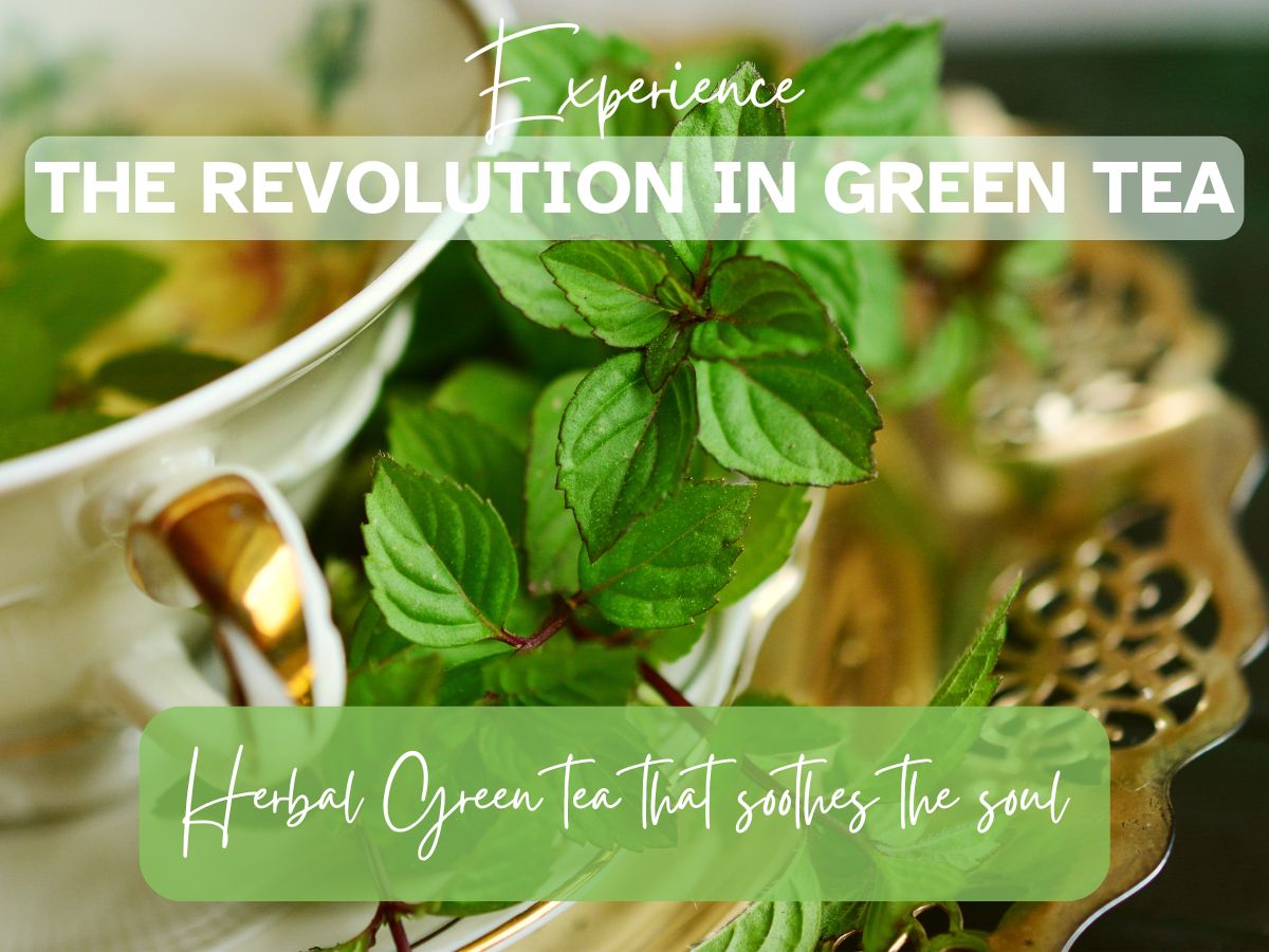 Experience The Revolution In Organic Green Tea Tablets: Your Weight Loss and Anti-Aging Companion