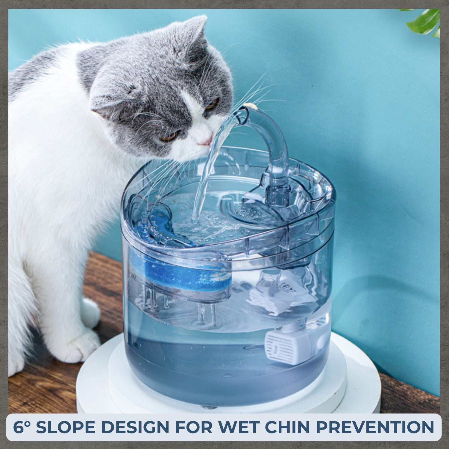Pet Water Fountain