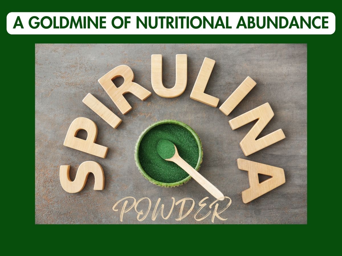 100% organic Spirulina powder