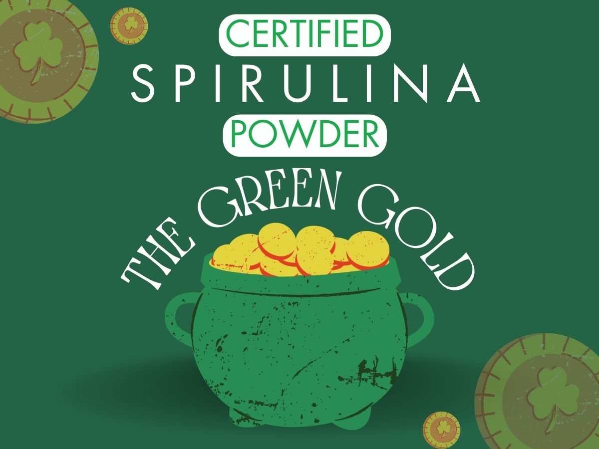 Certified Spirulina powder