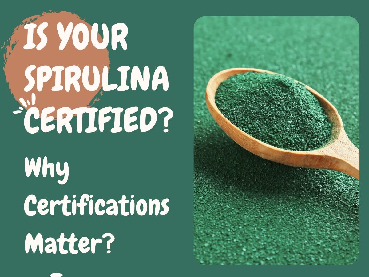 High-Quality Spirulina Powder