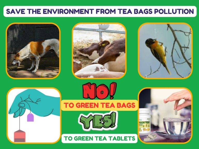 100% Natural Green Tea Tablets
