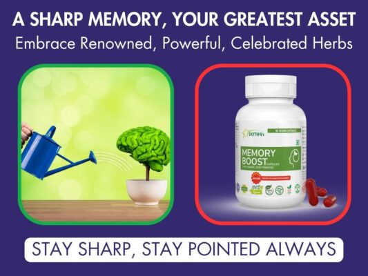 Brain health support capsules