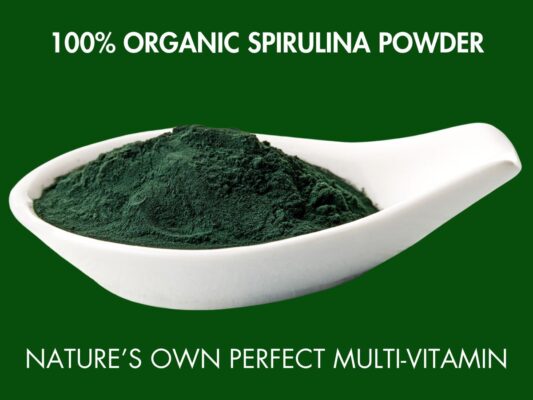 buy Spirulina Powder